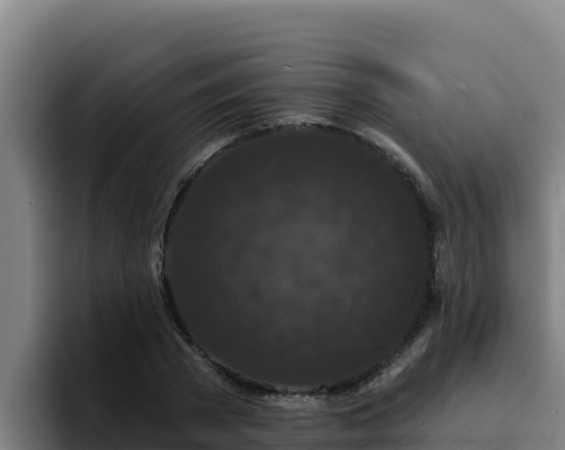 X0000094960785200712061311