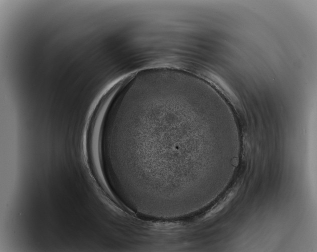 X0000094960788200712061310