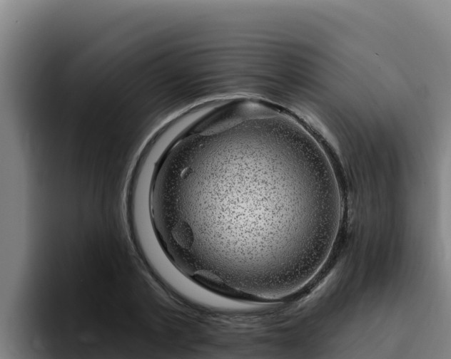 X0000094960789200712061310