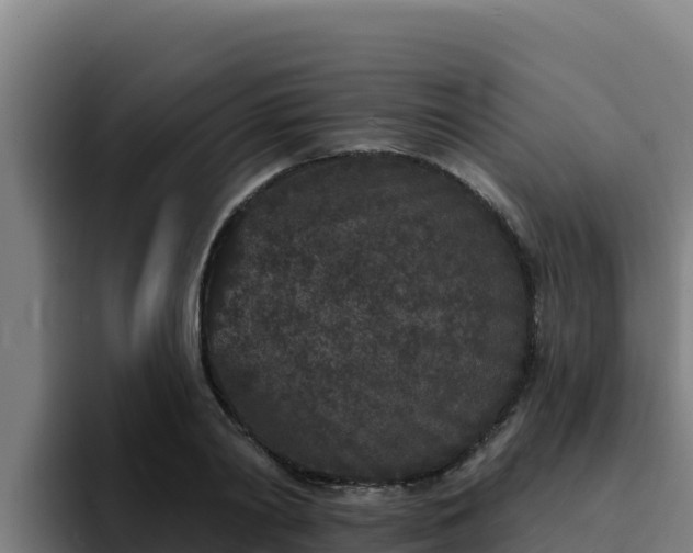 X0000094960790200712061310