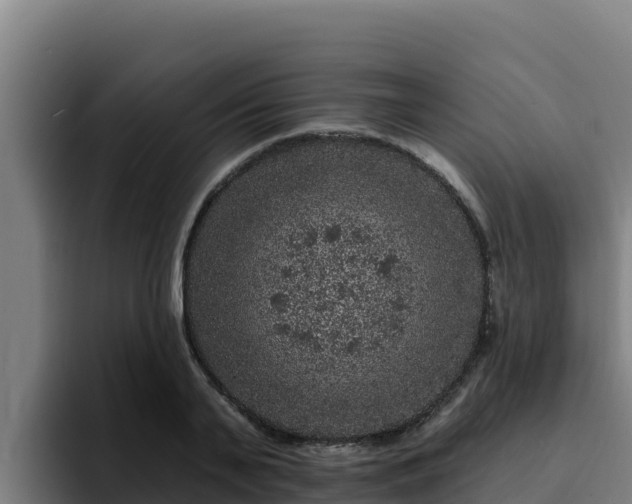 X0000094960791200712061310