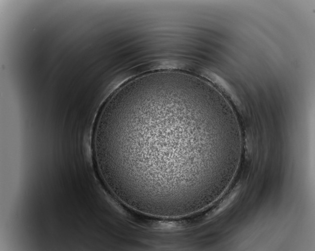 X0000094960794200712061310