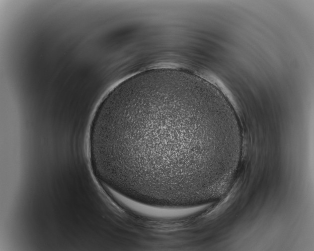 X0000094960795200712061310