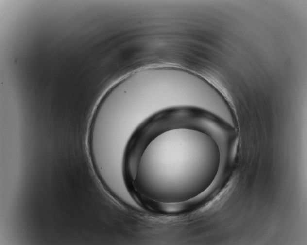 X0000094960797200712061310