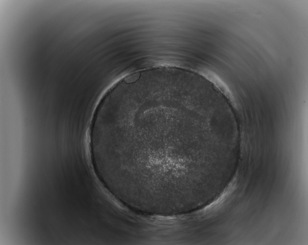 X0000094960798200712061310