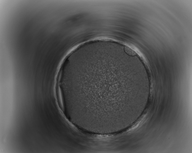 X0000094960799200712061310