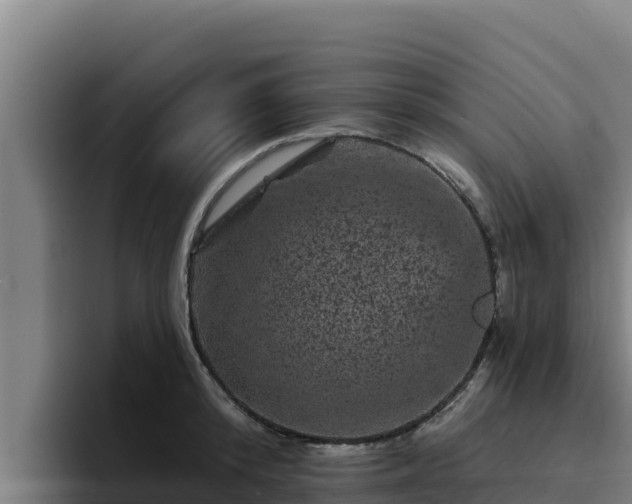 X0000094960800200712061310