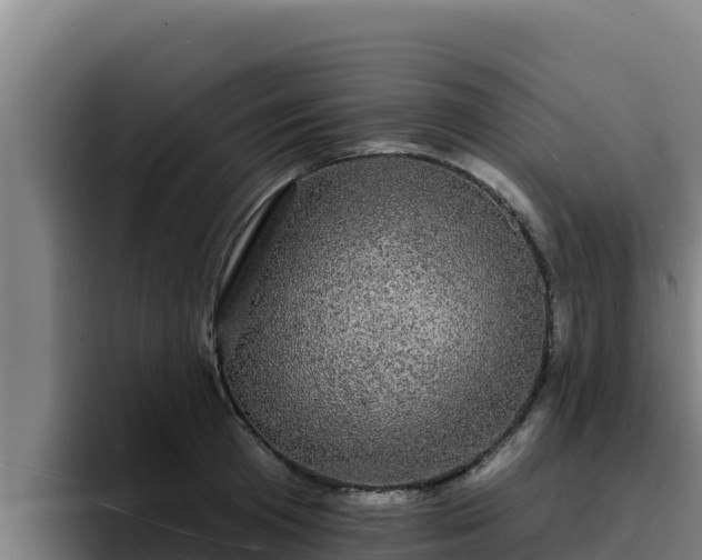 X0000094960801200712061310