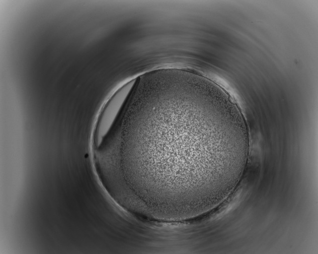 X0000094960803200712061310