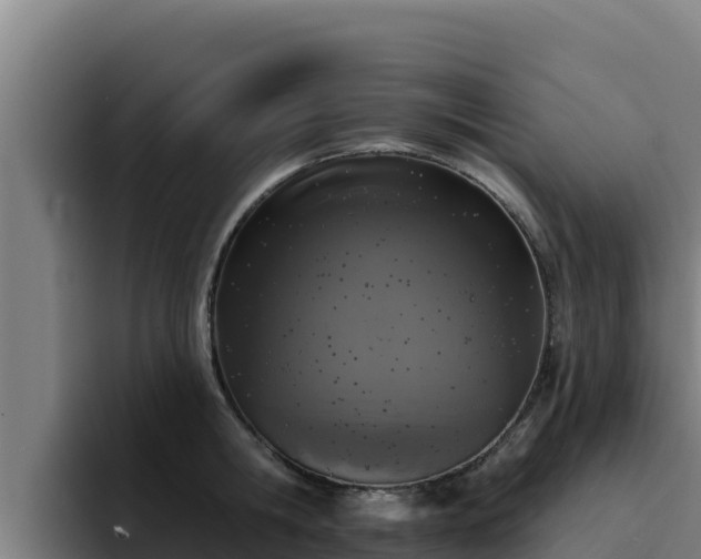 X0000094960806200712061310