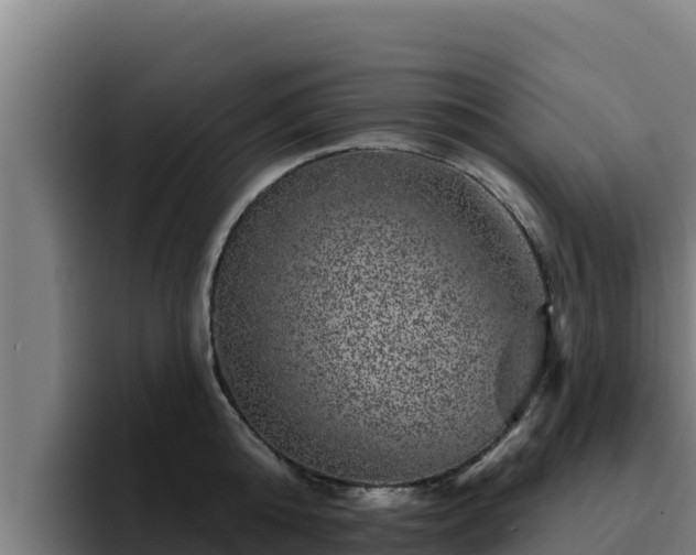 X0000094960808200712061310