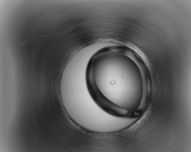 X0000094960809200712061310