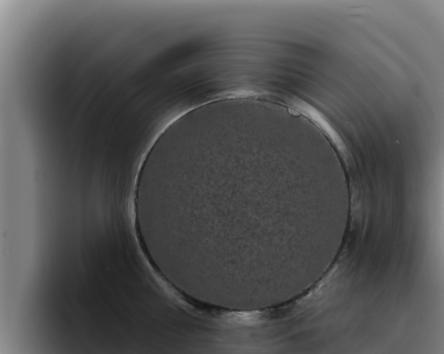 X0000094960810200712061310