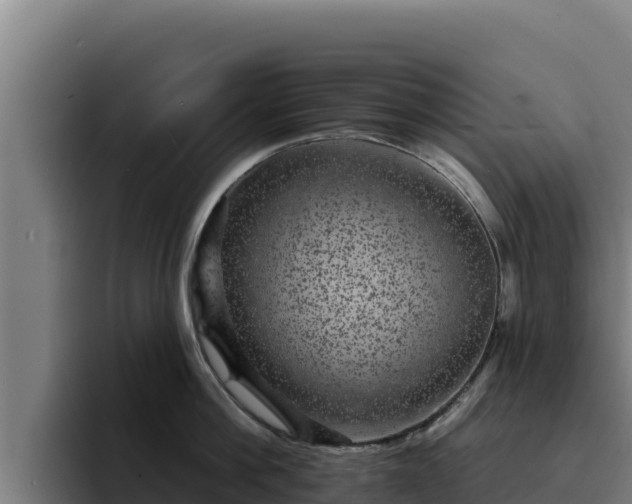 X0000094960812200712061310