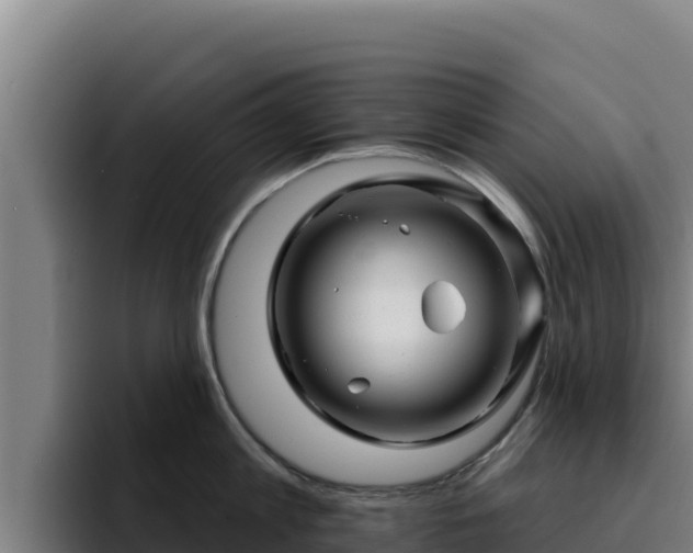 X0000094960813200712061310