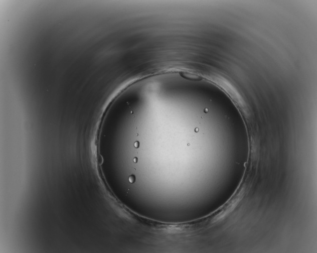 X0000094960814200712061310