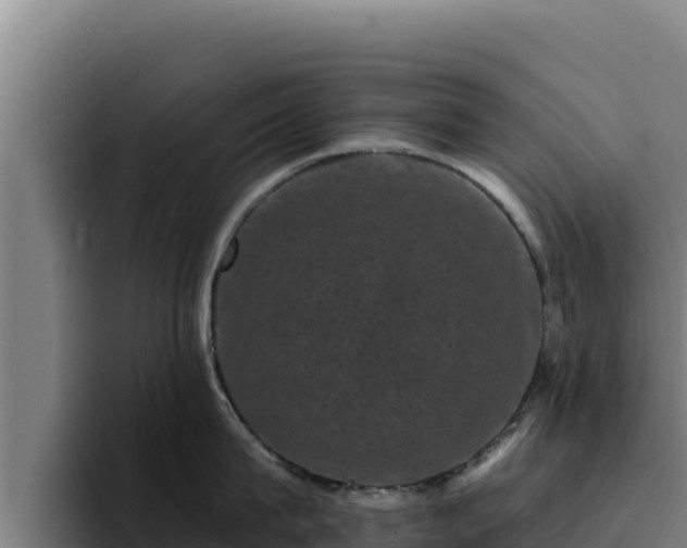 X0000094960815200712061310