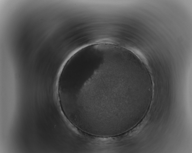 X0000094960816200712061310