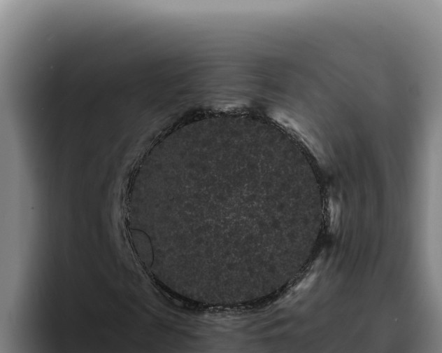 X0000094960817200712061309