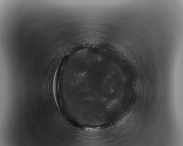 X0000094960818200712061310