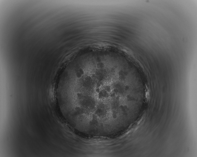 X0000094960819200712061310