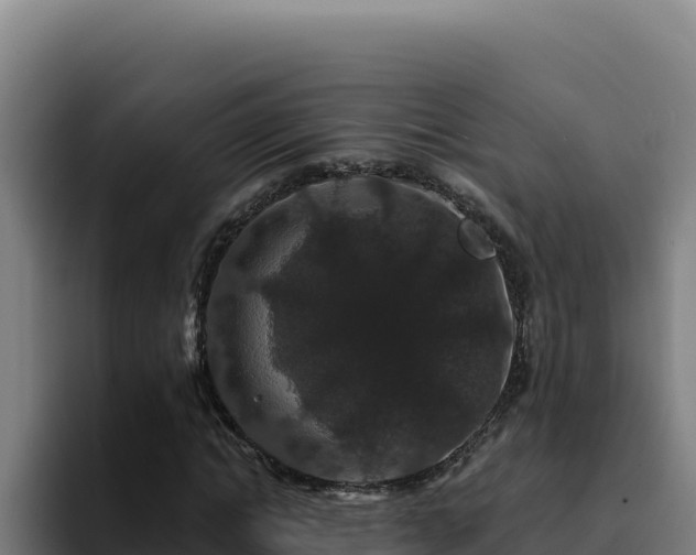 X0000094960822200712061310