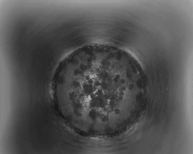 X0000094960823200712061310