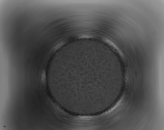 X0000094960825200712061310