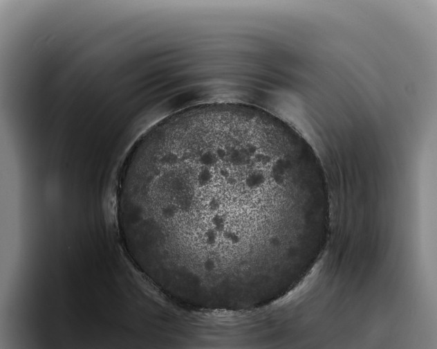 X0000094960827200712061310