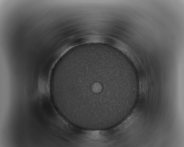 X0000094960828200712061310