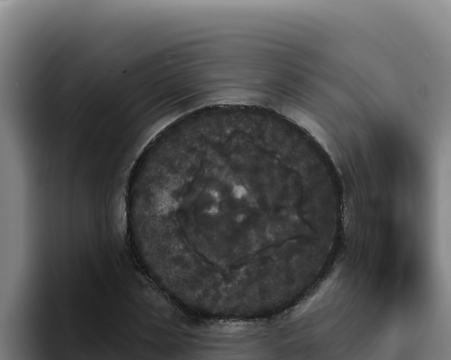 X0000094960829200712061310