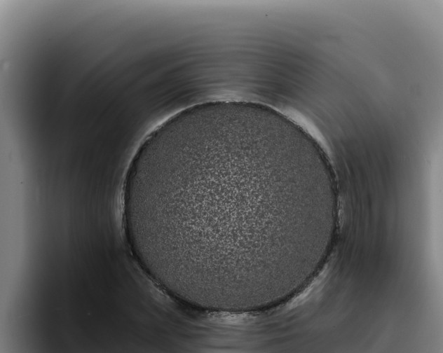 X0000094960831200712061310