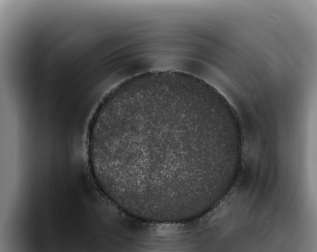 X0000094960832200712061310