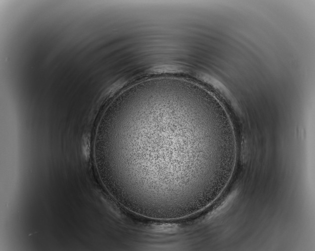 X0000094960833200712061310