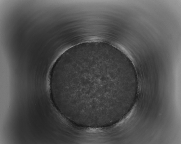 X0000094960835200712061310