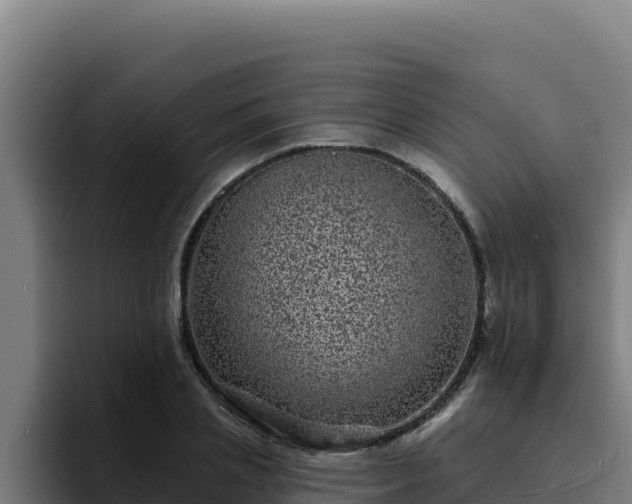 X0000094960837200712061310