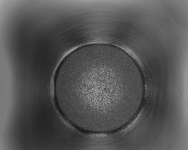 X0000094960838200712061310