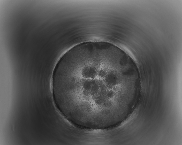 X0000094960839200712061310