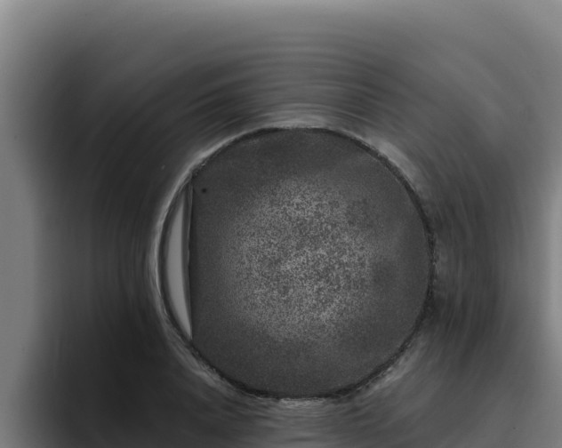 X0000094960840200712061310