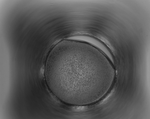 X0000094960841200712061310