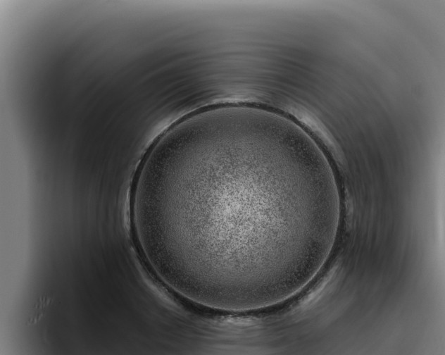 X0000094960842200712061310