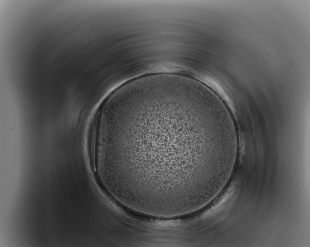 X0000094960843200712061310