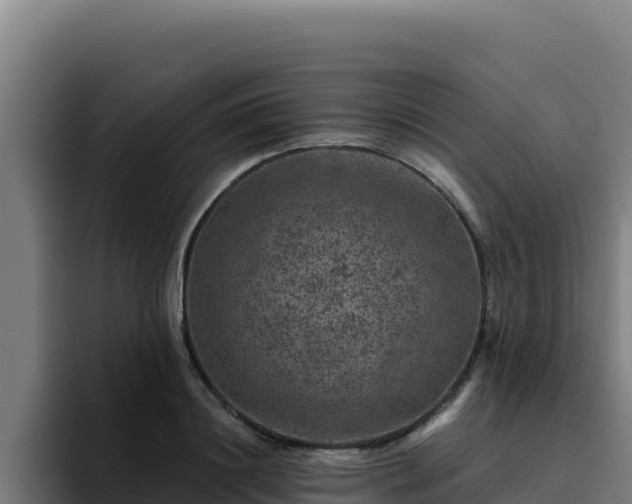 X0000094960844200712061310