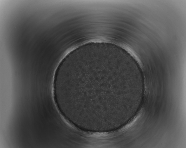 X0000094960845200712061310