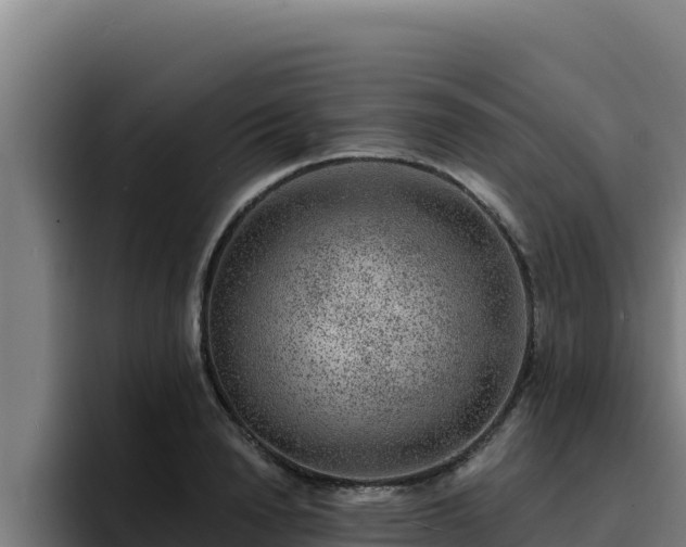 X0000094960846200712061310