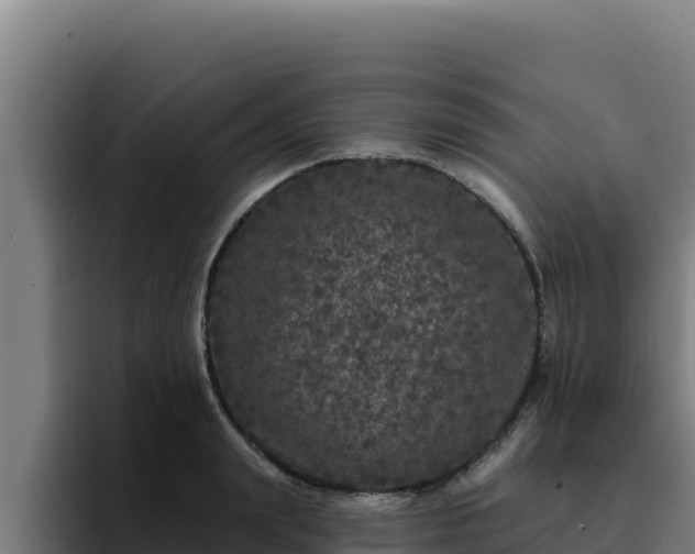 X0000094960847200712061310