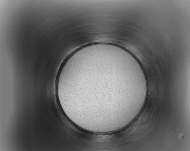 X0000094960848200712061310