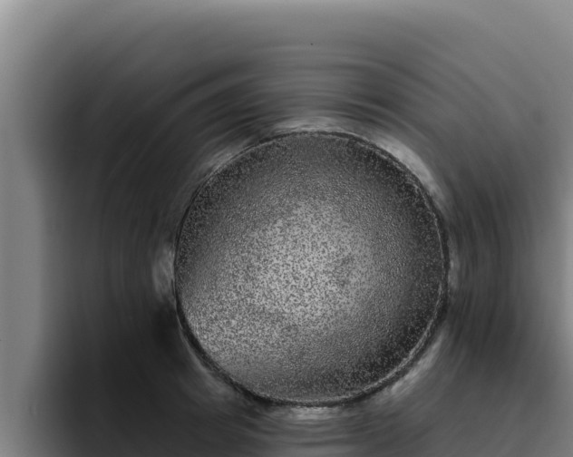 X0000094960849200712061310