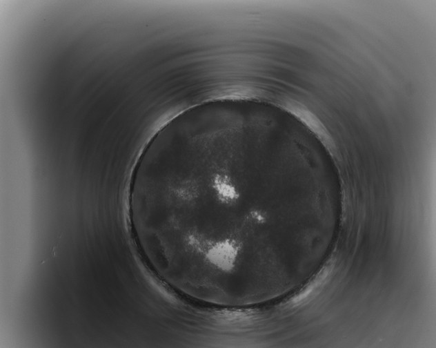 X0000094960850200712061310