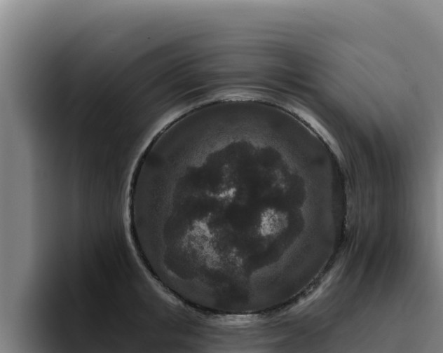 X0000094960853200712061310